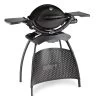 Weber Q 1200 Stand Black 2 Weber Q 1200 Stand Black -Buiten Kamperen weber q 1200 stand black 824211 ecommerce a506